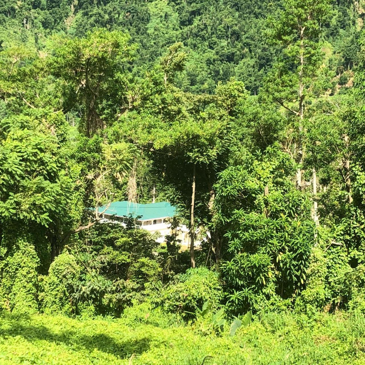 Soufriere Guesthouse 外观 照片